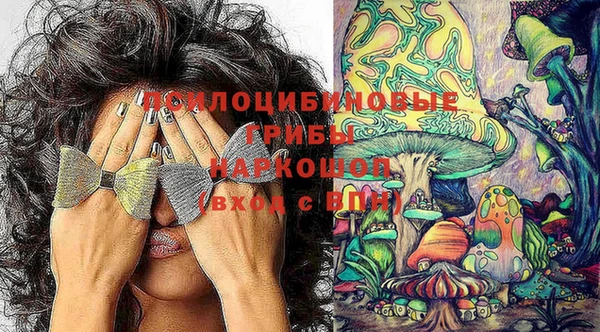 мдпв Навашино