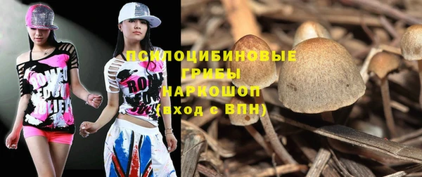 а пвп мука Арсеньев