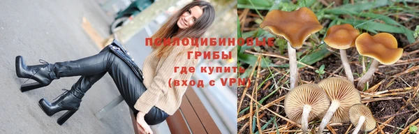 не бодяженный Армянск