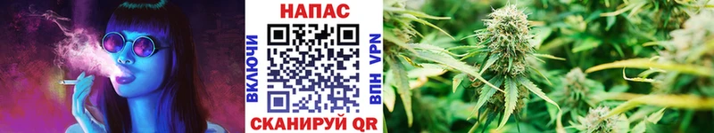 где продают   Чердынь  Бошки Шишки SATIVA & INDICA 